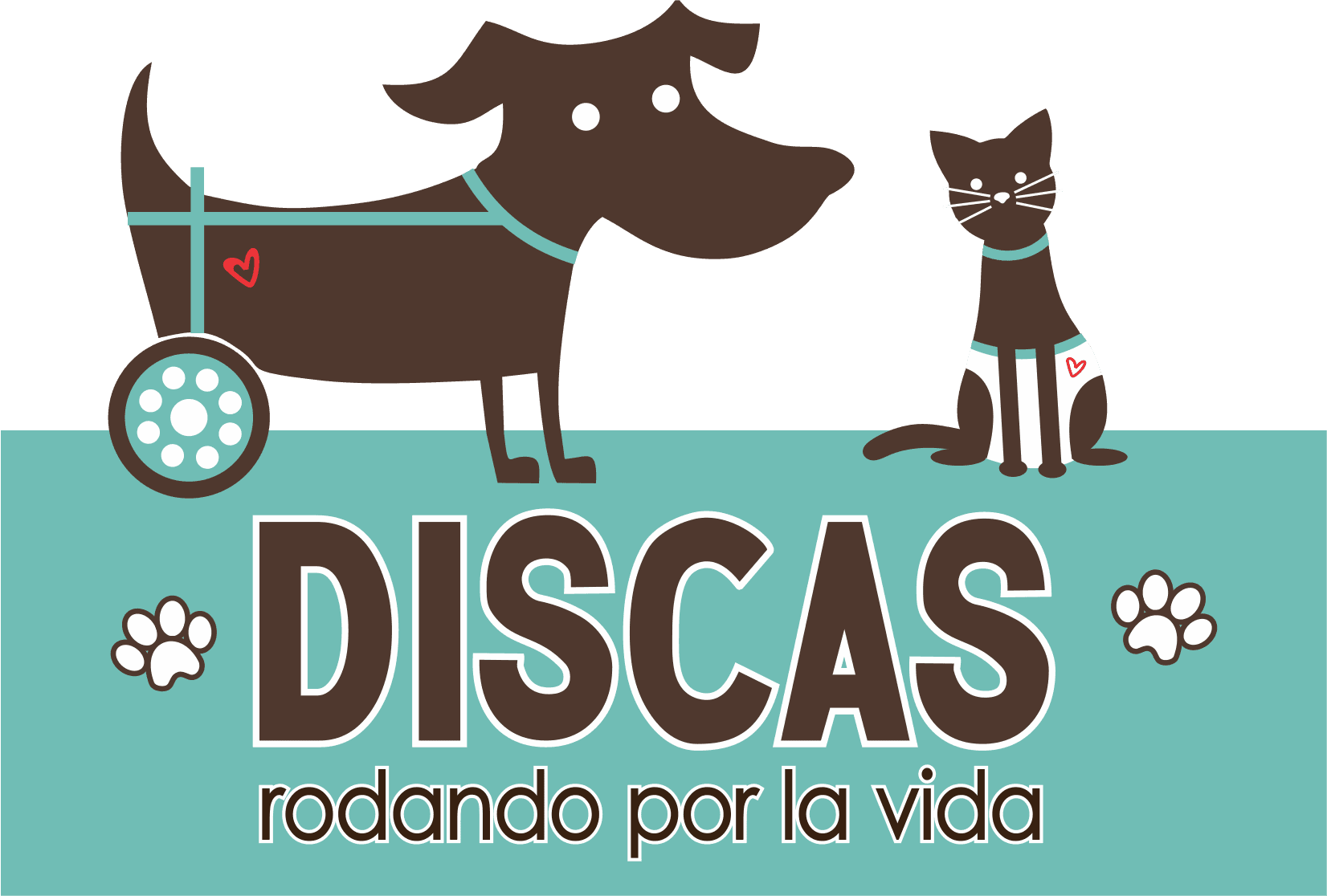 Discas - Rescatamos animales con discapacidad
